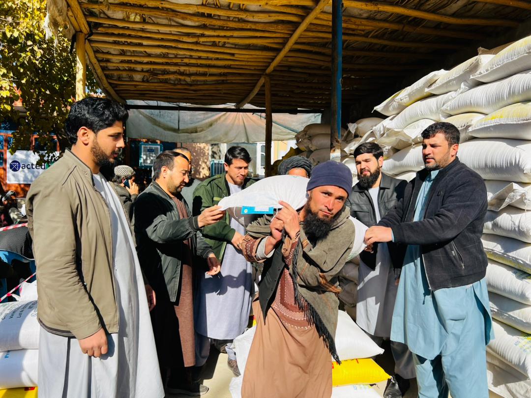 ایجاد ۱۹۲ قطعه نمایشی گندم در فاریاب