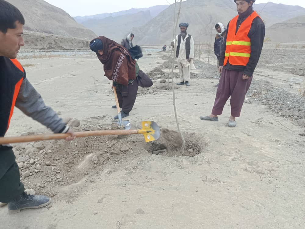 آغاز نهال‌شانی جنگل مصنوعی در ساحه جنتاغلی ولسوالی چال تخار