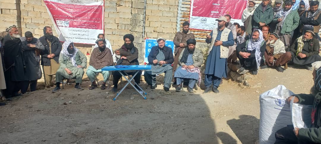 د کاپیسا کوه‌بند ولسوالی کې پر ۵۰۰ مستحق مالدارانو د څارويو د خوراکي توکو وېش لړۍ پیل شو