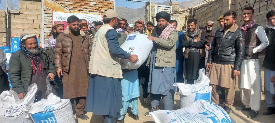 آغاز توزیع خوراکه حیوانی  برای ۵۰۰  تن از مالداران ولسوالی کوهبند ولایت کاپیسا 