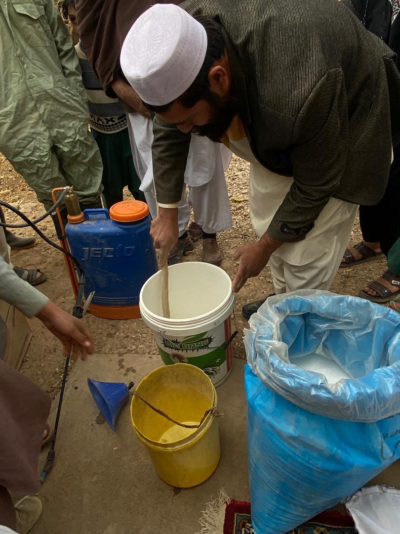 فراه ولایت کې د یوریا سپرې کمپاین پیل شو