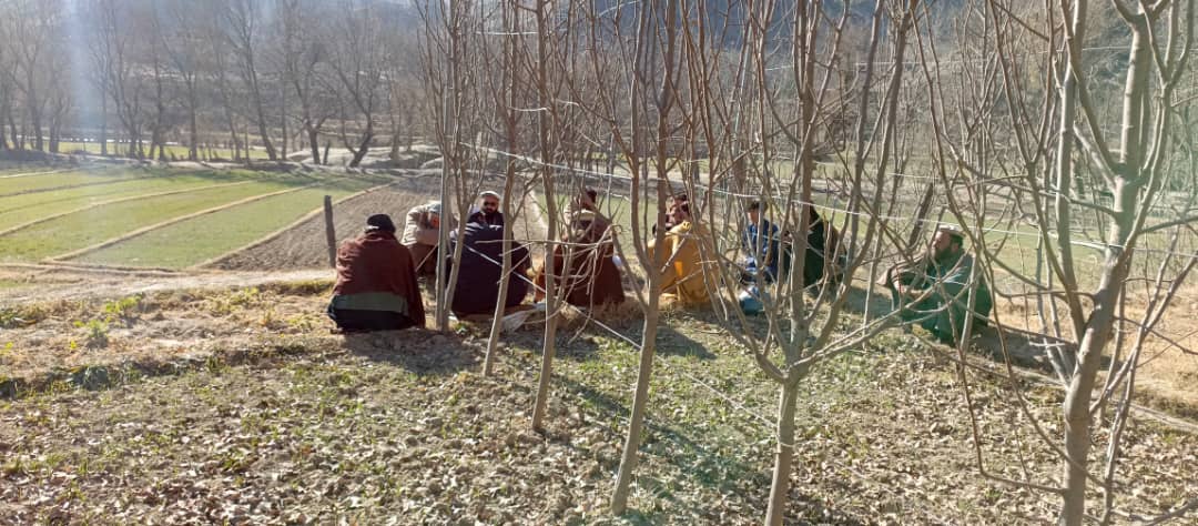 پکتیا کې د نباتي وبایي آفتونو د میخانیکي کنټرول عملي کمپاین پيل شو