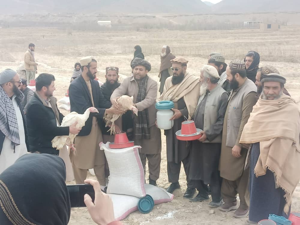 توزیع ۴۰۰ قطعه فیل مرغ برای ۲۰ فامیل در ولسوالی خاک‌جبار ولایت کابل 