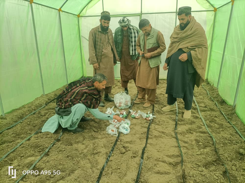 آغاز روند احداث ۲۰ باب سبزخانه متوسط در ینگی‌قلعه تخار