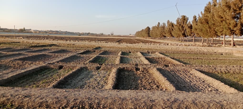 د هلمند د بولان څېړنیز فارم کې د تخمونو د تصدیق او غنمو د تجربوي کر پراخې پروژې پيل او بشپړې شوې