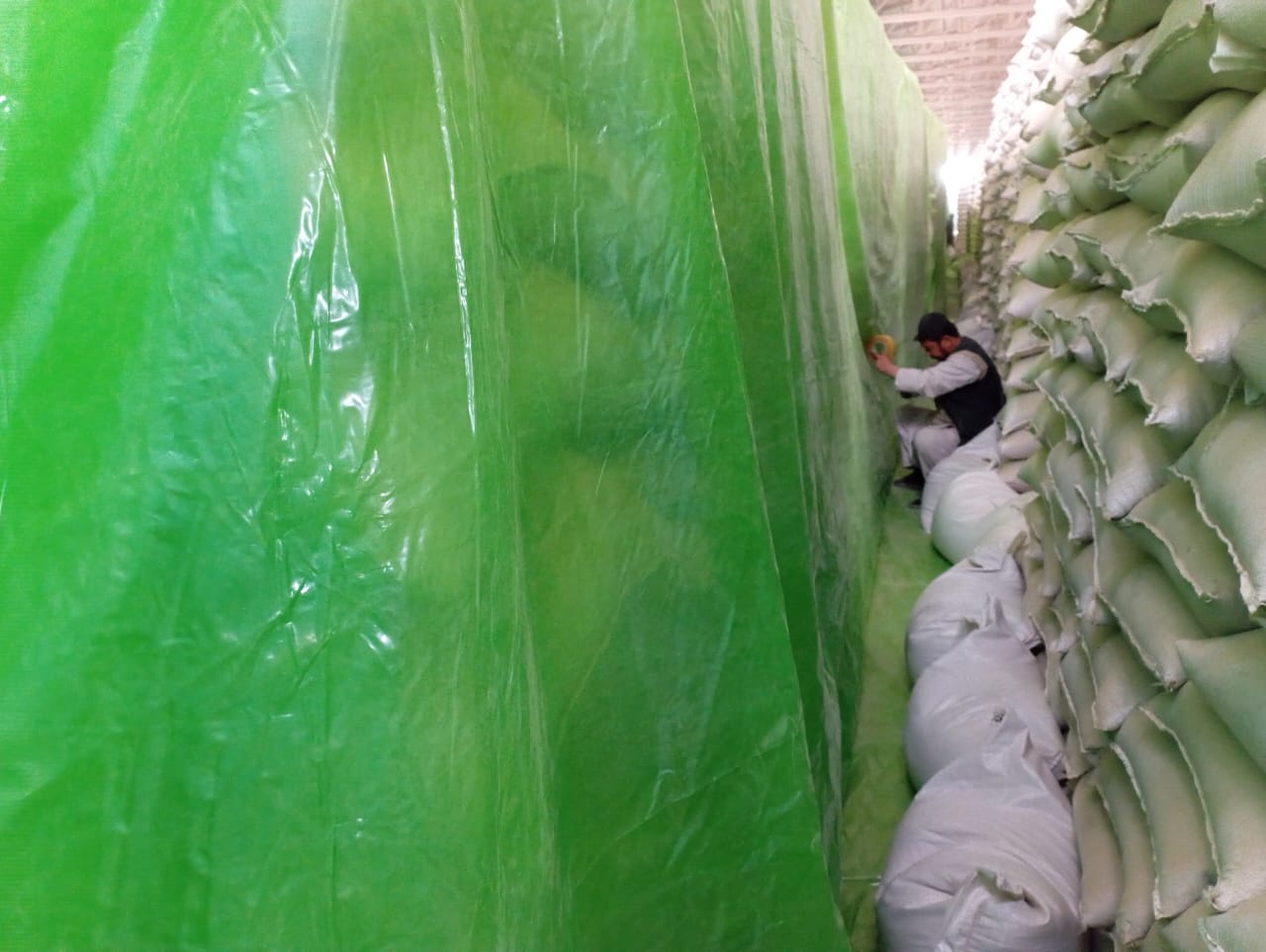 انجام فوموگیشن گدام استراتژیک ۵۰۰۰ تنی شهر میمنه