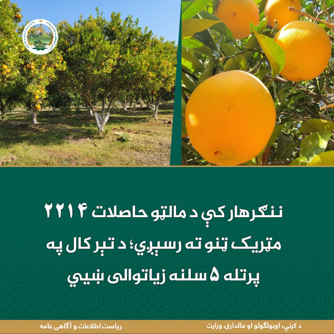 د ورځ مهمی خبری