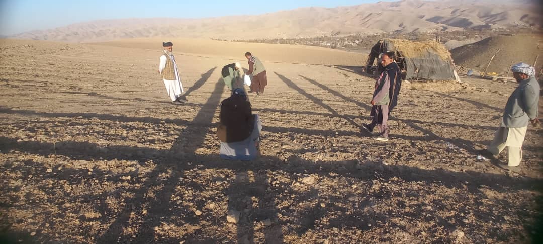 آغاز کار احداث ۱۰۶ قطعه باغ مثمر گیلاس در ولسوالی کشم بدخشان