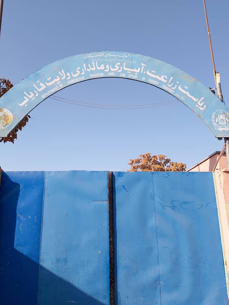 دیدار رئیس ذخایر استراتژیک وزارت زراعت با رئیس زراعت فاریاب و مسئولان مربوط