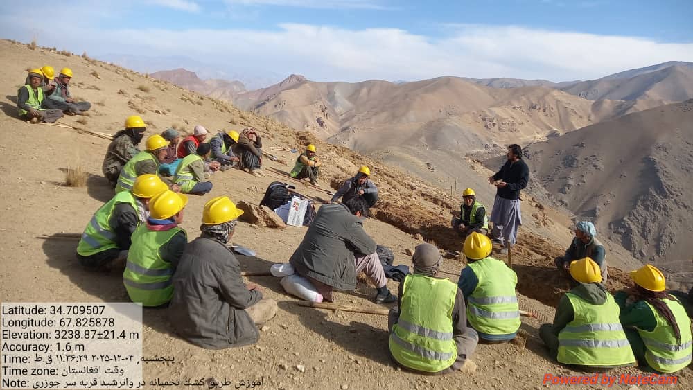 نظارت از روند تخم‌پاشی ریشقه در ساحه واترشید قریه سر جوزری بامیان