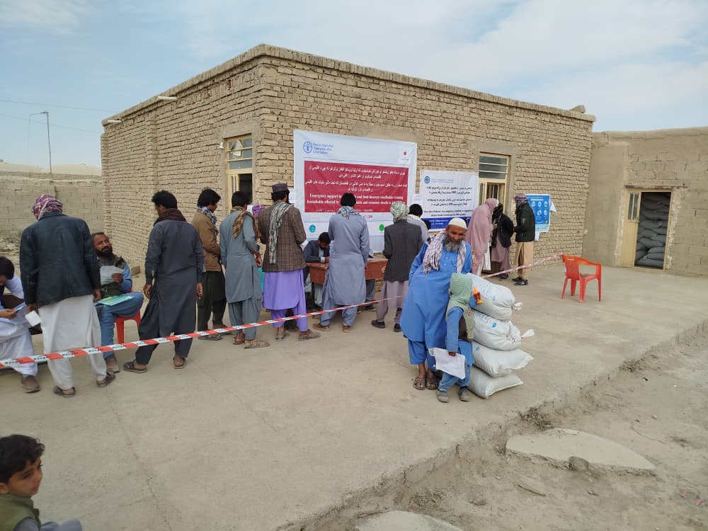 آغاز توزیع خوراکه حیوانی برای مالداران چخانسور 