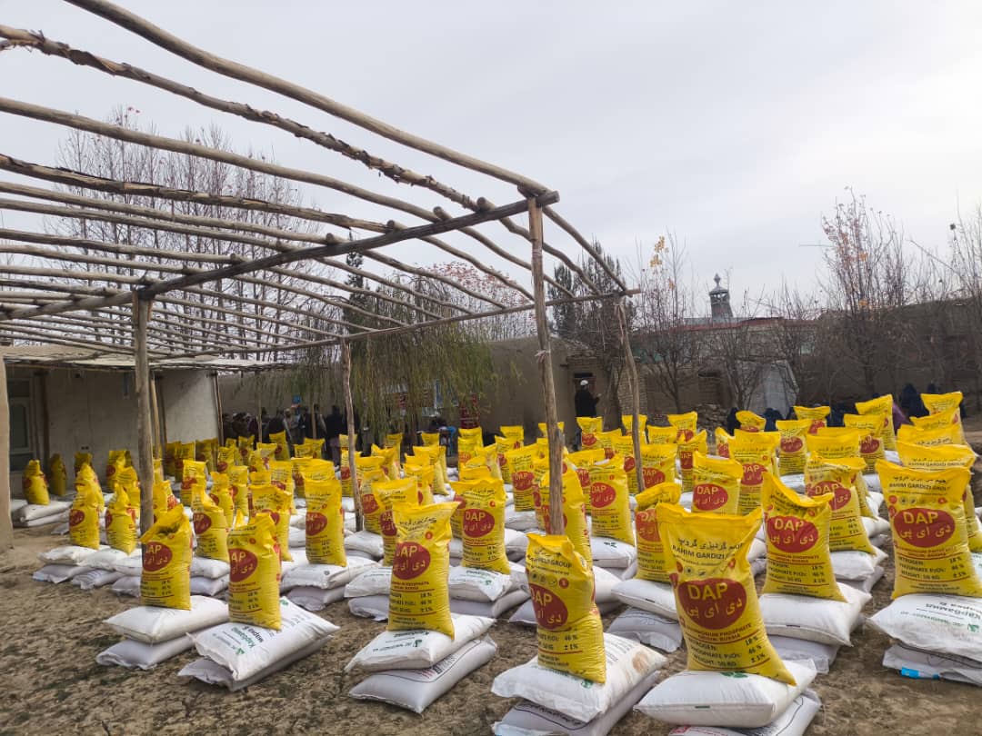آغاز توزیع تخم‌های بذری اصلاح‌شده و کودهای کیمیاوی برای دهاقین در ولسوالی بهارک