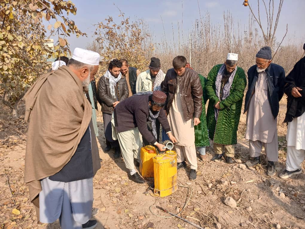 کمپاین یوریا اسپری و مبارزه میخانیکی با آفت «مور پته‌دار» در ولایت کندز آغاز شد