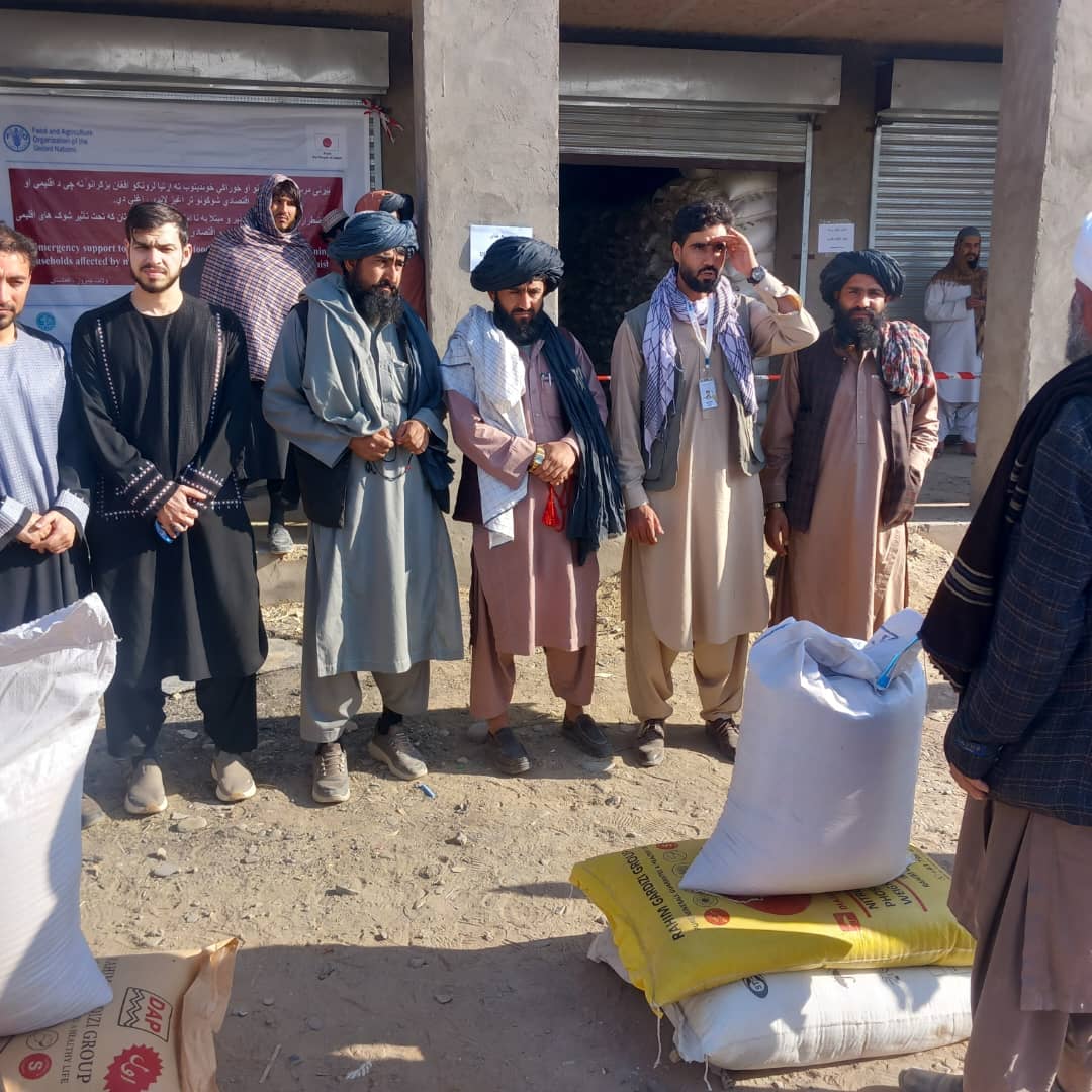 آغاز توزیع گندم اصلاح‌شده و کودهای کیمیاوی برای دهاقین ولسوالی دلارام