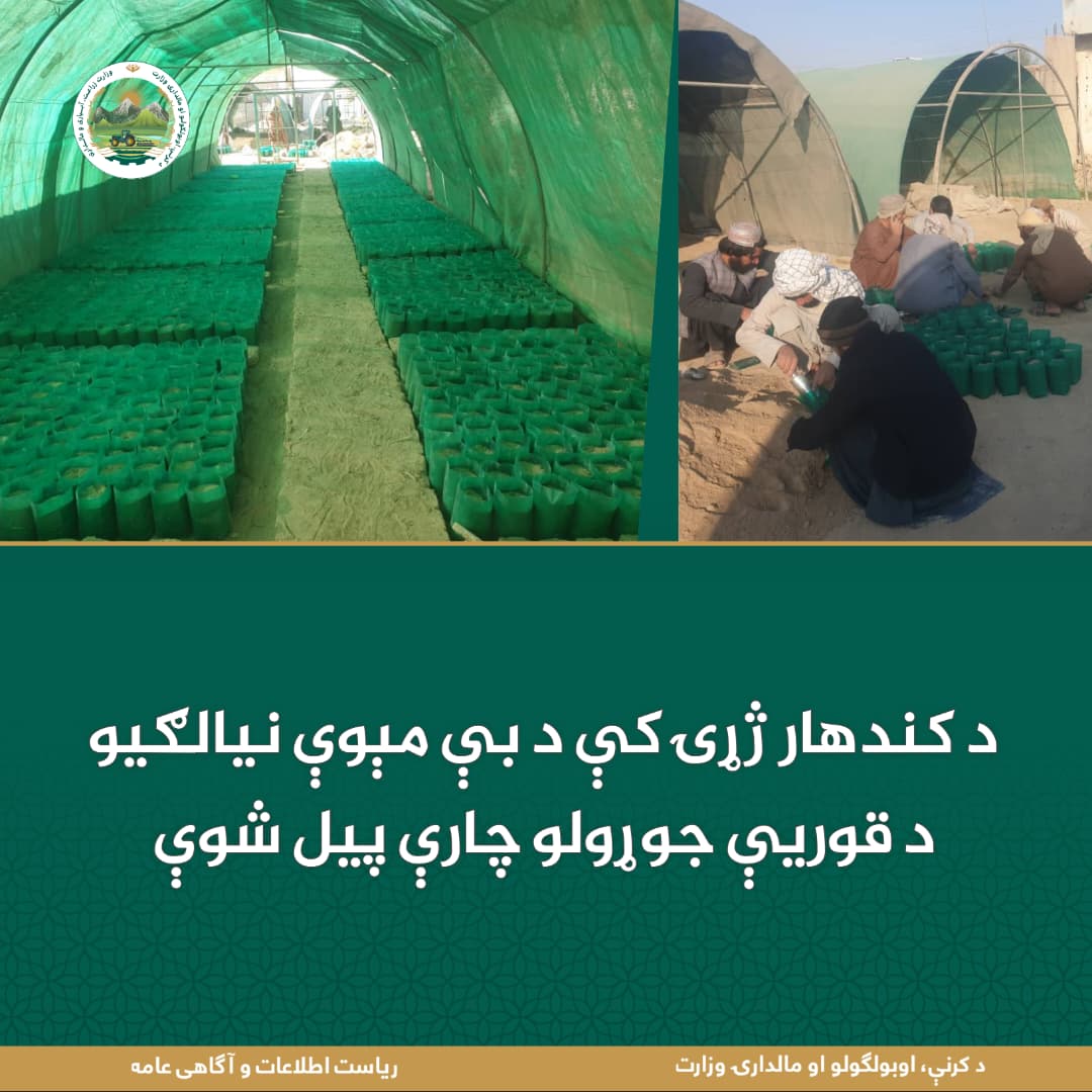 د ورځ مهمی خبری