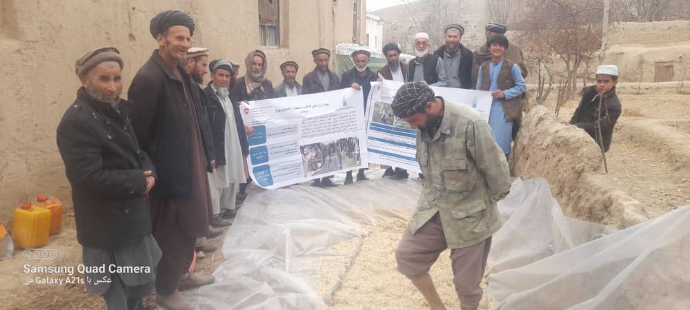 آموزش طرز تهیه یوریا ترتمنت برای مالداران کلفگان