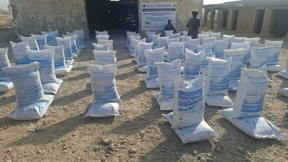 د هلمند موسی کلا کې پر لسګونو بزګرانو اصلاح شوي عضوي سره ووېشل شوه