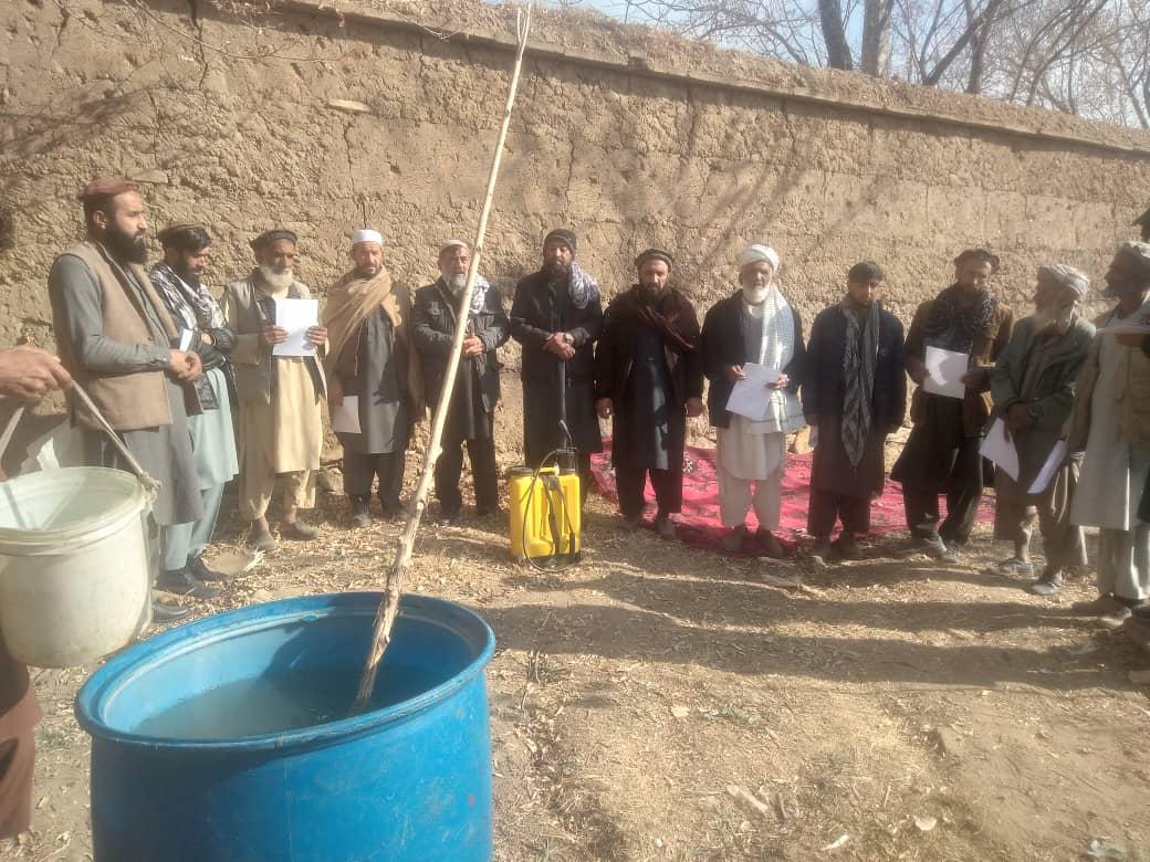 تطبیق کمپاین خزانی یوریا اسپری و واکسین درختان در کاپیسا