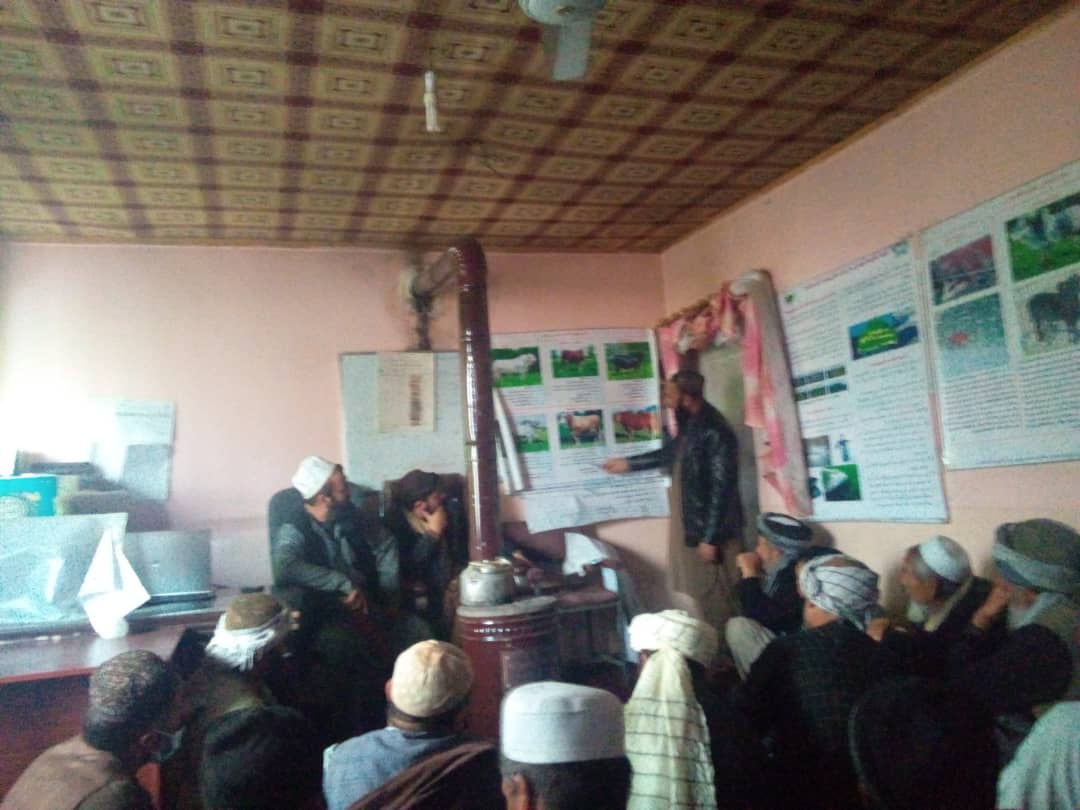 غزني کې د مالدارۍ د پرمختګ په موخه روزنیز پروګرام ترسره شو