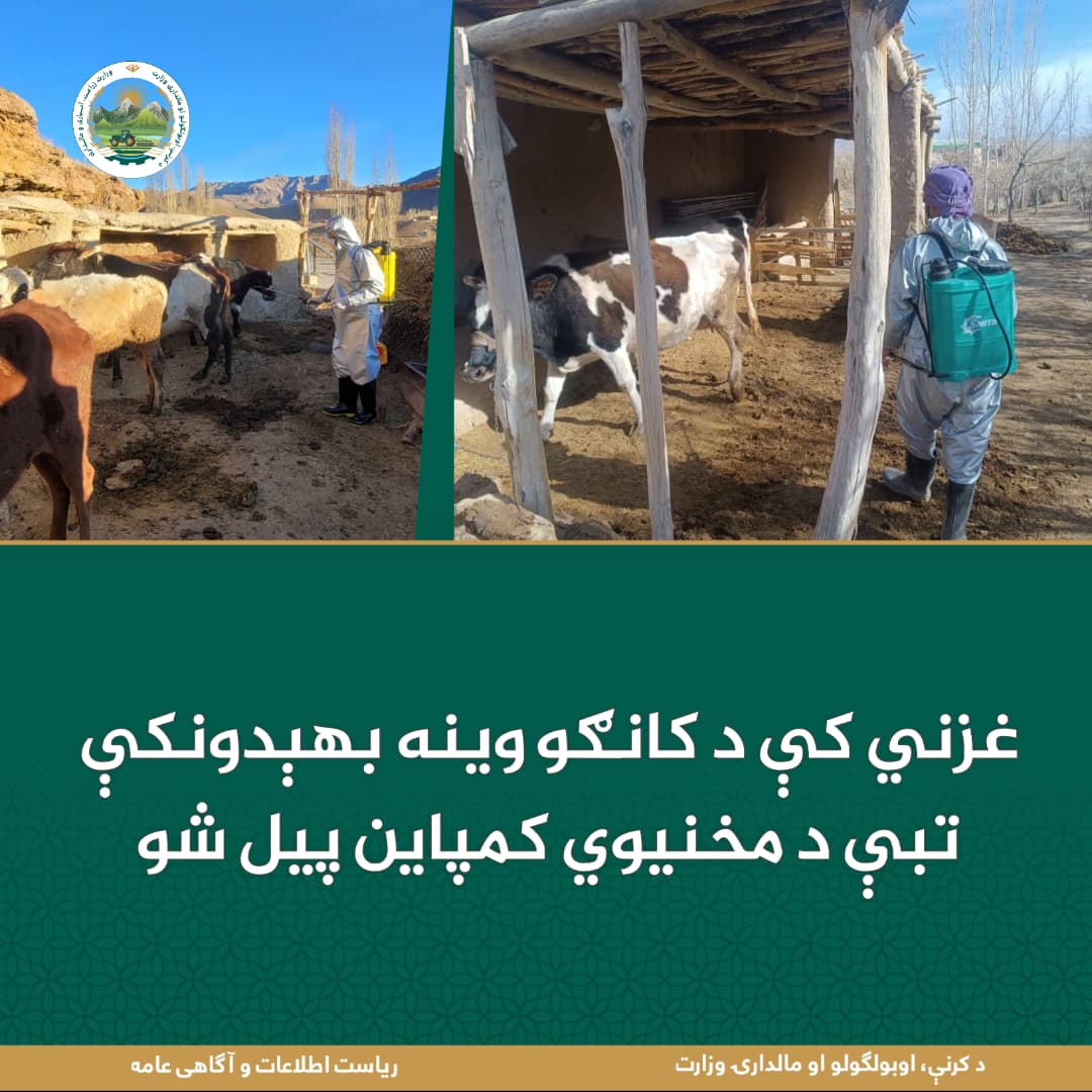 د ورځ مهمی خبری