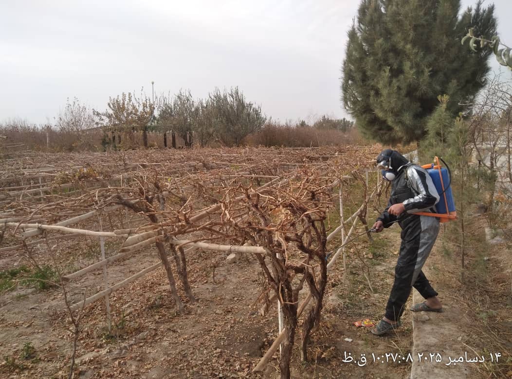 بازدید تخنیکی از باغ‌های میوه‌دار و دواپاشی نهال‌ها در ولایت نیمروز