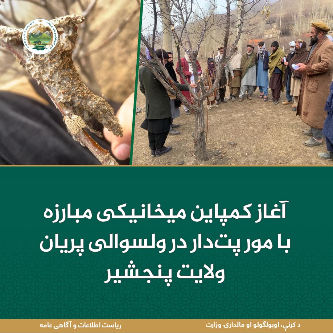 خبرهای مهم روز