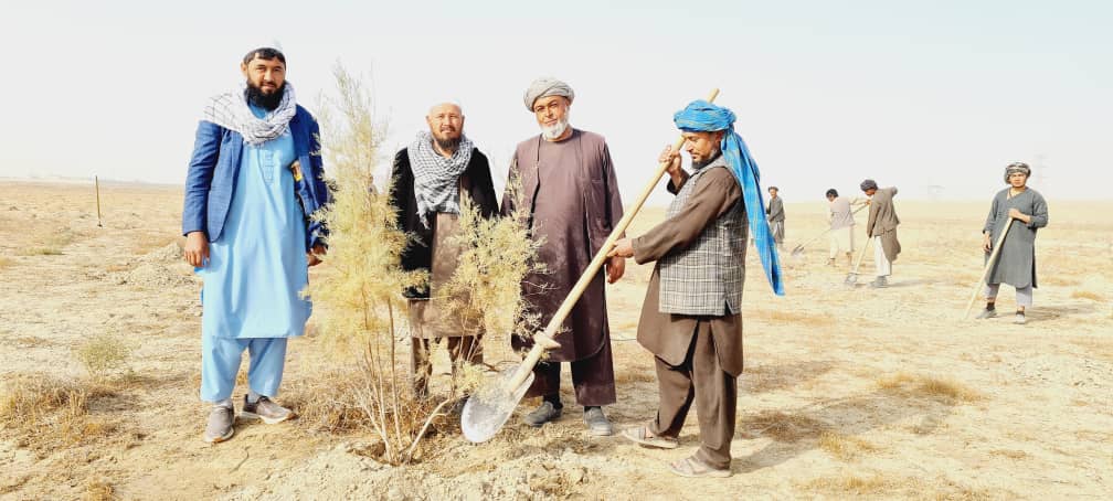تکمیل پروژه توسعه صحرا در ولسوالی اندخوی فاریاب