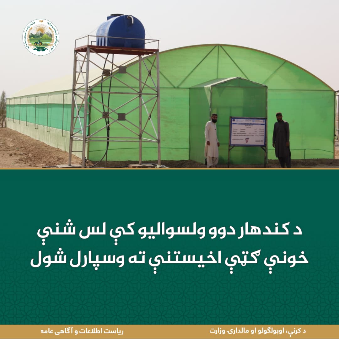 د ورځ مهمی خبری