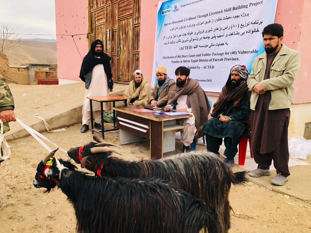 توزیع بزهای شیری نسل کرکی به‌منظور بهبود معیشت خانواده‌های نیازمند در ولسوالی شیرین‌تگاب