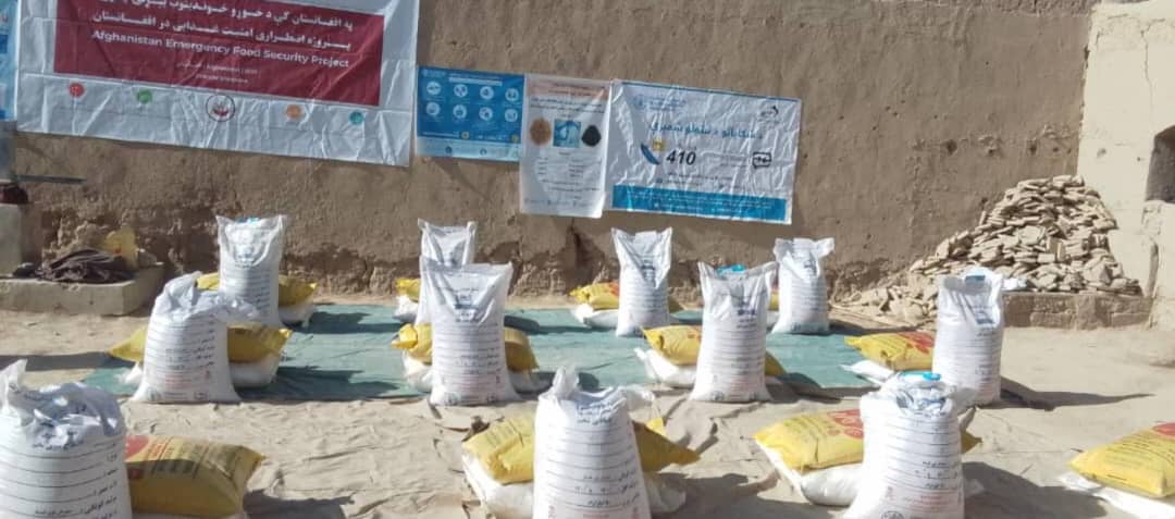 د کندهار بولدک ولسوالی کې پر سلګونو بزګرانو د غنمو اصلاح شوي تخمونه او کیمیاوي سرې ووېشل شوې