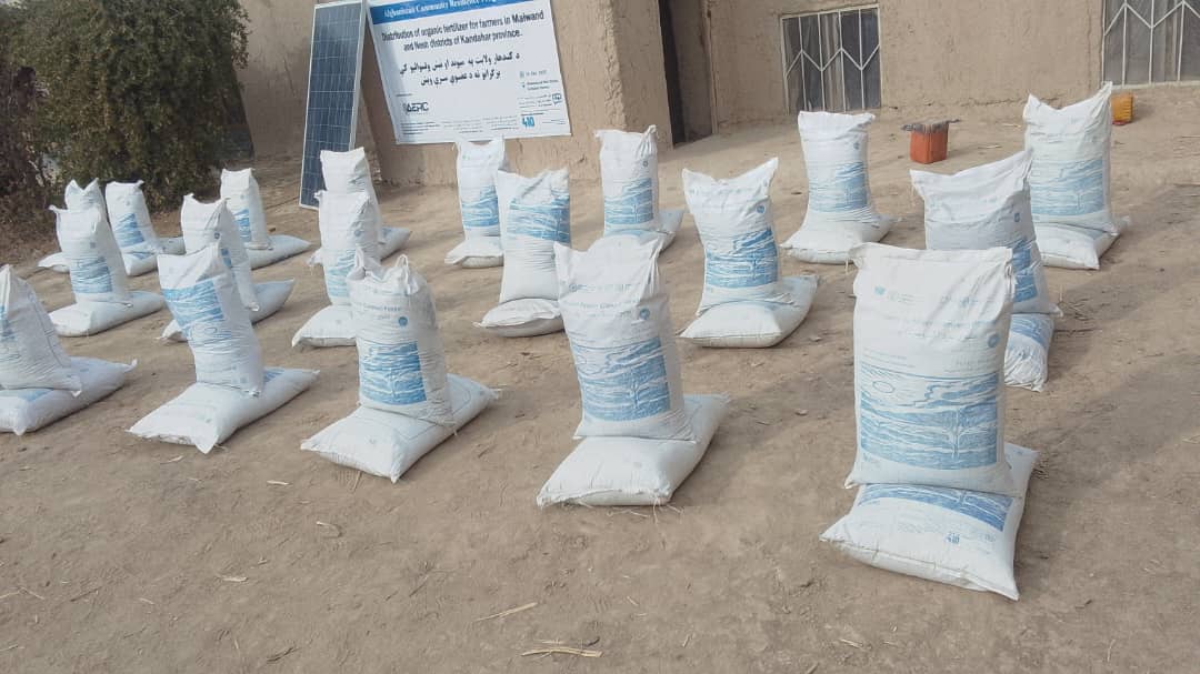 د کندهار نېش ولسوالی کې پر ۲۵۰ بزګرانو عضوي سره ووېشل شوه