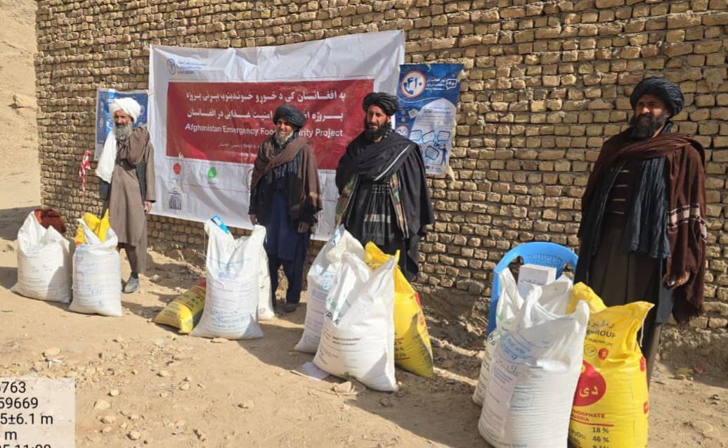 توزیع تخم اصلاح‌شده گندم و کود کیمیاوی برای دهاقین در ولایت بادغیس