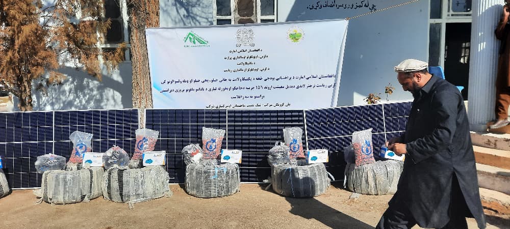 پکتیکا کې د بادامو د قطره‌یي سیستم پروژه د کرنې او مالدارۍ مرستیال په حضور کې پرانیستل شوه