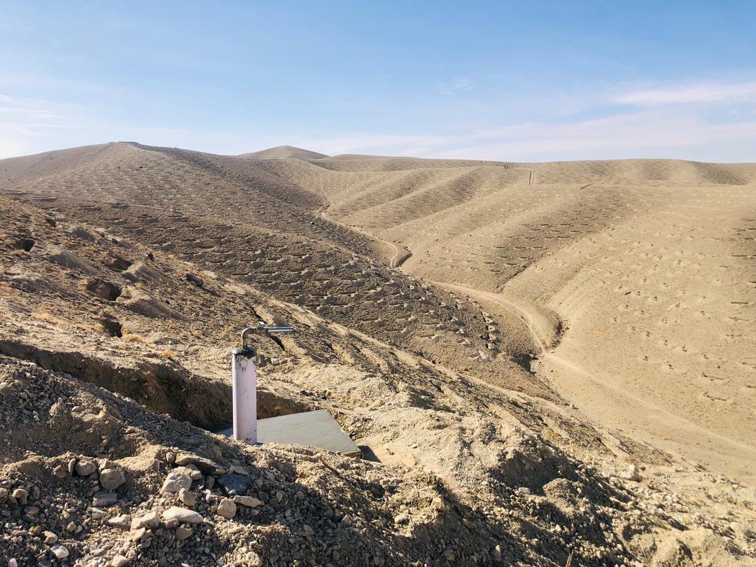 توزیع بزهای شیرده برای خانواده‌های بی‌بضاعت در ولسوالی‌های چهاردره و علی‌آباد ولایت کندز