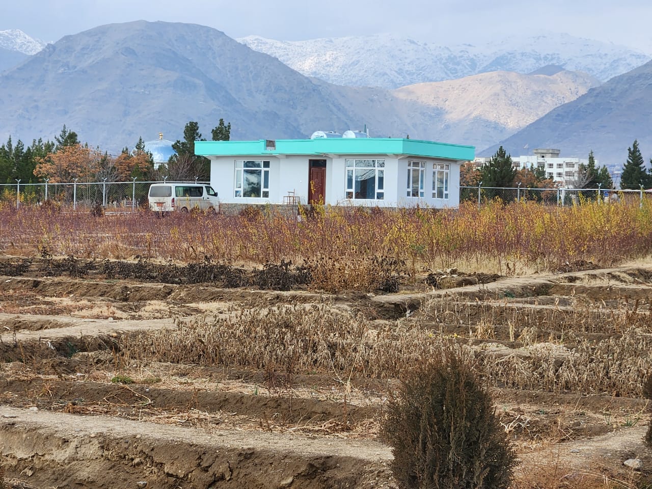 نظارت رئیس زراعت ولایت کاپیسا از فارم تولید نهال‌های مثمر و غیرمثمر در پوهنتون البیرونی