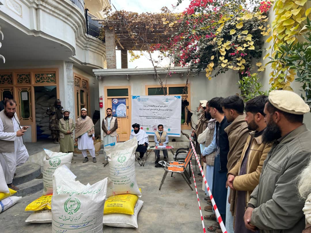 ننګرهار کې ٦٠٠  بزګرانو ته د غنمو اصلاح شوي تخم او کیمیاوی سرې ورکړل شوې