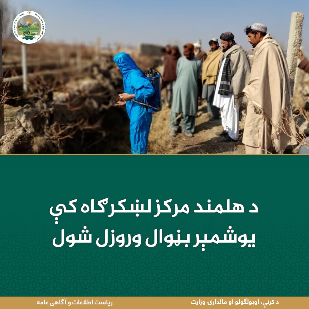 د ورځ مهمی خبری