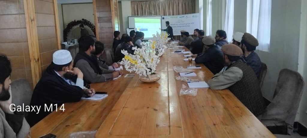 برگزاری ورکشاپ آموزشی بازاریابی برای تولیدکنندگان محصولات زراعتی در بدخشان