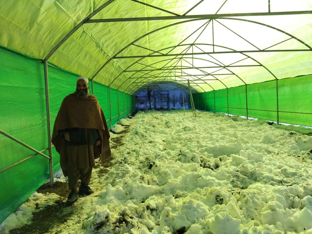 د میدان وردګو جلیز کې جوړو شویو شنوخونو څخه لیدنه او کروندګرو سره مرسته