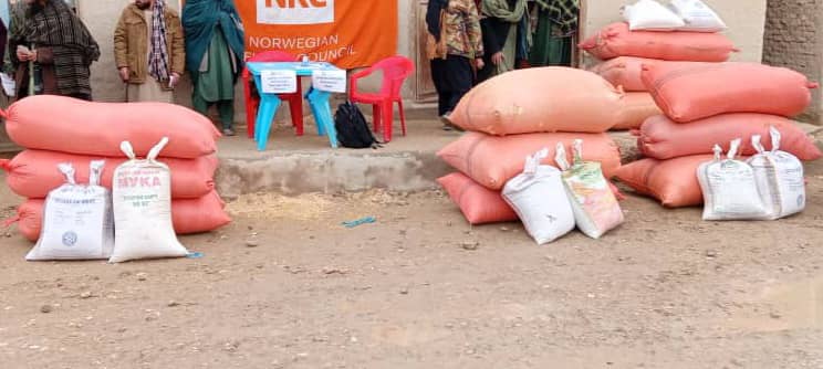 توزیع خوراکه حیوانی برای مالداران ولسوالی دره‌بوم بادغیس