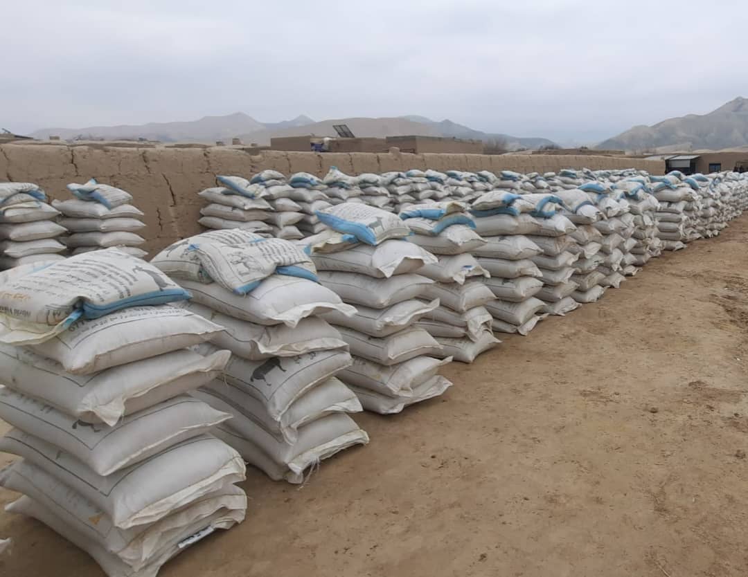 توزیع ۳۰۰ متریک تن خوراکه حیوانی برای مالداران ولایت بادغیس