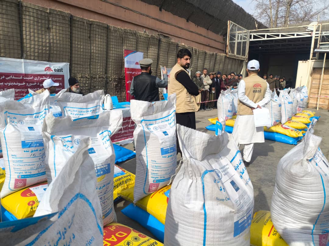 آغاز روند توزیع تخم‌های بذری اصلاح‌شده گندم و کودهای کیمیاوی در مرکز تالقان