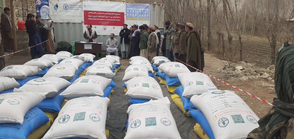 توزیع تخم بذری اصلاح‌شده گندم و کود کیمیاوی در ولسوالی جرم بدخشان