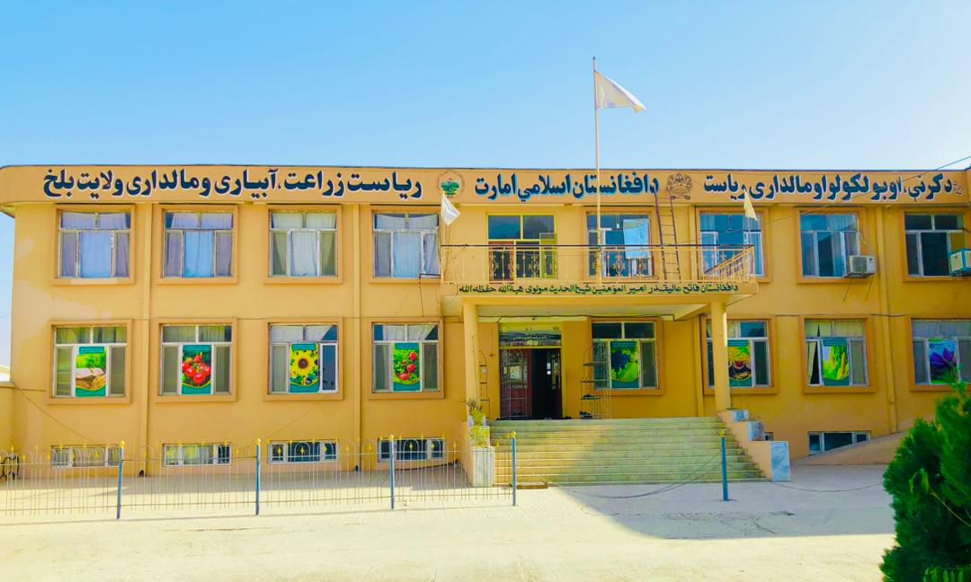 توزیع پیاز زعفران و تجهیزات زراعتی در ولسوالی شولگره بلخ