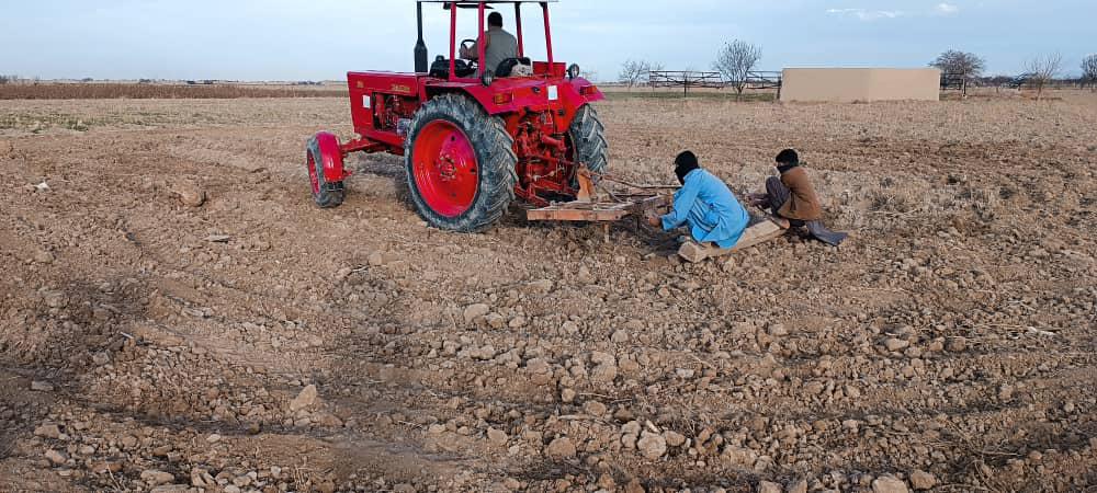 کشت بذر گندم در قطعات نمایشی ولسوالی دهدادی بلخ