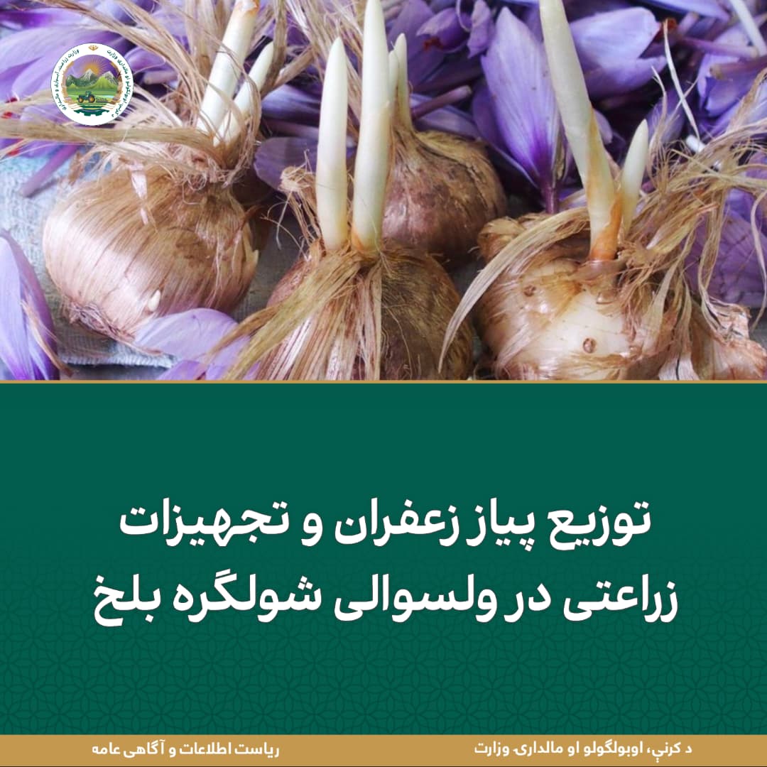 خبرهای مهم روز