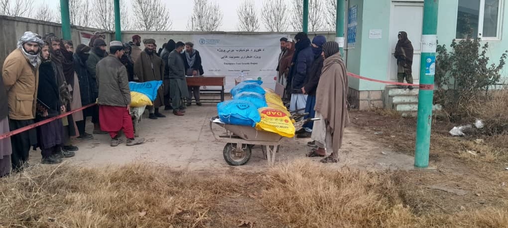 آغاز روند توزیع تخم اصلاح‌شده گندم و کود کیمیاوی برای صدها دهقان در ولسوالی چهاردره کندز