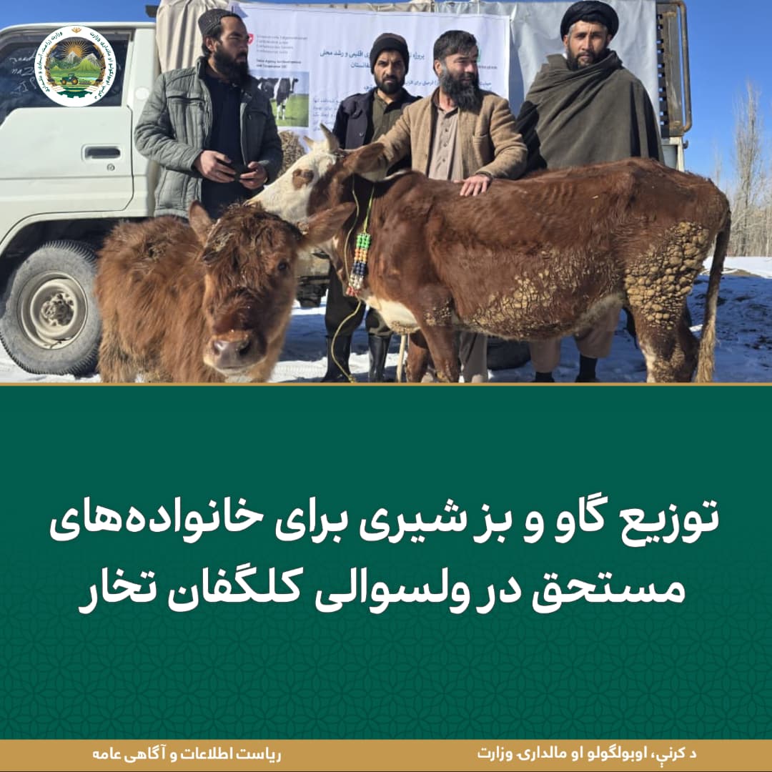 خبرهای مهم روز