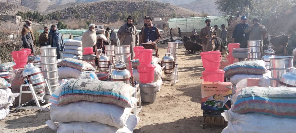 لغمان کې له ۳۰ بې‌وزلو کورنیو سره د شېدو غواګانو مرسته وشوه