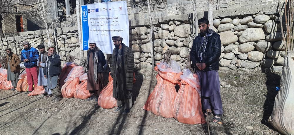 غرس ۱۲۰۰ اصله نهال مثمر در ولسوالی ارغنجخوا